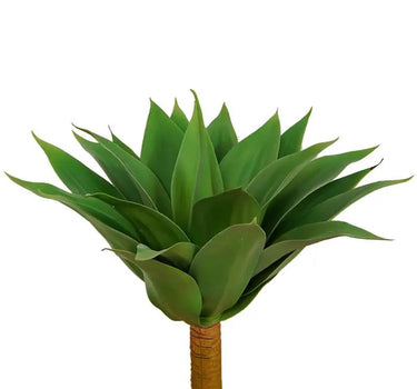 Greenhouse International Foxtail Agave Plant Plastic 20"H x 22"W - Artificial Non-Flowering Plants Silk