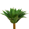 Greenhouse International Foxtail Agave Plant Plastic 20"H x 22"W - Artificial Non-Flowering Plants Silk