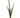 Greenhouse International Sansevieria Plant Spray with 6 Leaves 41"H - Silk