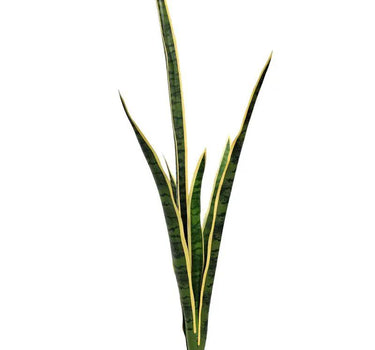 Greenhouse International Sansevieria Plant Spray with 6 Leaves 41"H - Silk