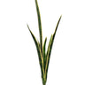 Greenhouse International Sansevieria Plant Spray with 6 Leaves 41"H - Silk