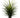 Greenhouse International UV Plastic Yucca/Wide Leaf Grass Bush in Pot 36"H - Silk