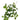Greenhouse International Sweet Ginkgo Spray 28"L - Silk