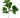 Greenhouse International Golden Laurel Spray 23"L - Silk