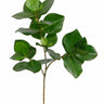 Greenhouse International Golden Laurel Spray 23"L - Silk