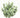 GSC Eucalyptus Bush 13" - Uncategorized Silk