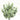 GSC Eucalyptus Bush 13" - Uncategorized Silk