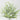 GSC Eucalyptus Bush Frosted Green 21.5" - Uncategorized Silk