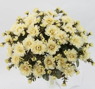GSC Mum Bush Cream silk artificial chrysanthemums bouquet, 15.5 inches tall