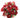 Poinsettia w/ Berries Mixed Bush Burgundy 20"