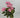 Le Fleur Geranium Bush 17" Pink - Artificial Flora Hanging Basket & Porch Pots