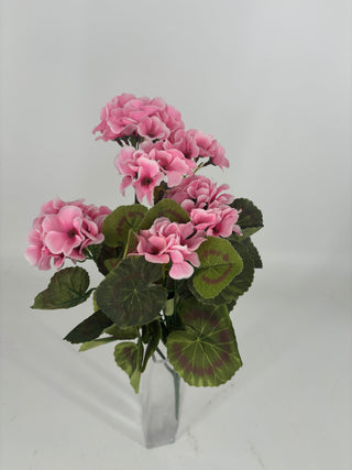 Geranium Bush 17" Pink