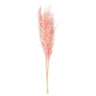 Vickerman Dusty Rose Pampas Grass 46" - Artificial Non-Flowering Plants Silk