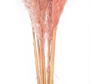 Vickerman Dusty Rose Pampas Grass 46" - Artificial Non-Flowering Plants Silk