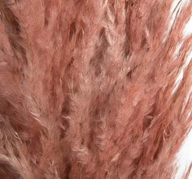 Vickerman Dusty Rose Pampas Grass 46" - Artificial Non-Flowering Plants Silk