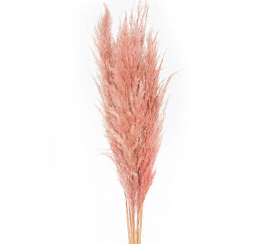 Vickerman Dusty Rose Pampas Grass 46" - Artificial Non-Flowering Plants Silk