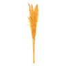 Vickerman Aspen Gold Pampas Grass 46" - Uncategorized Silk