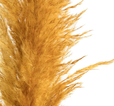Vickerman Aspen Gold Pampas Grass 46" - Uncategorized Silk