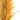 Vickerman Aspen Gold Pampas Grass 46" - Uncategorized Silk