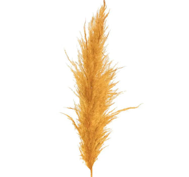 Vickerman Aspen Gold Pampas Grass 46" - Uncategorized Silk