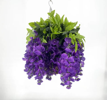 Wisteria Purple Hanging Basket
