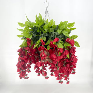 Wisteria Burgundy Hanging Basket