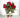 Geranium Red Hanging Basket