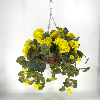 Geranium Yellow Hanging Basket