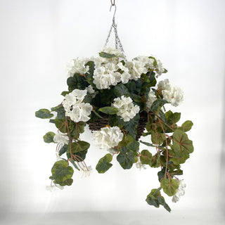 Geranium Cream Hanging Basket
