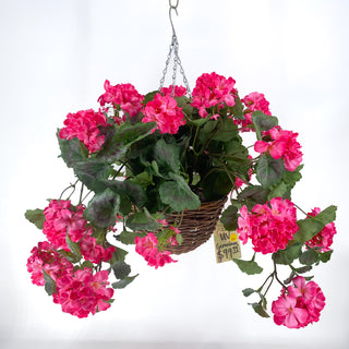 Geranium Pink UV Hanging Basket