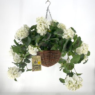 Geranium Cream UV Hanging Basket
