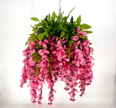 Wisteria Light Pink (Orchid) Hanging Basket