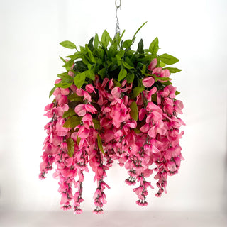 Wisteria Orchid Hanging Basket