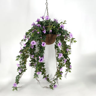 Morning Glory Purple Hanging Basket