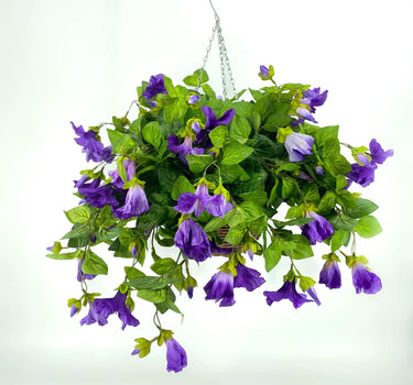 Petunia Purple Hanging Basket
