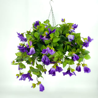 Petunia Purple Hanging Basket