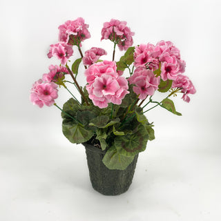 Geraniums in Mache Pink x2