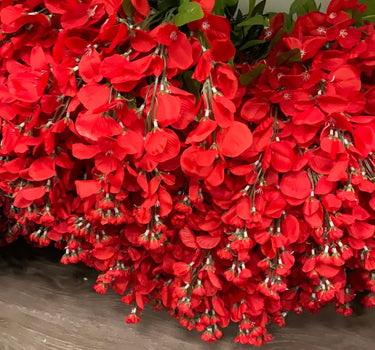Wisteria Hanging Bush Red