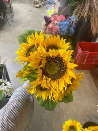 14'' Sunflower Bundle x6 YL