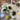 Fortune Sunflower Bush Cream - Uncategorized Silk