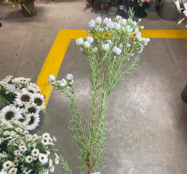 Supreme Wax Flower Spray White 32" - Uncategorized Silk