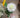 AmBest Dahlia Stem White 25" - Artificial Flowering Plants Silk