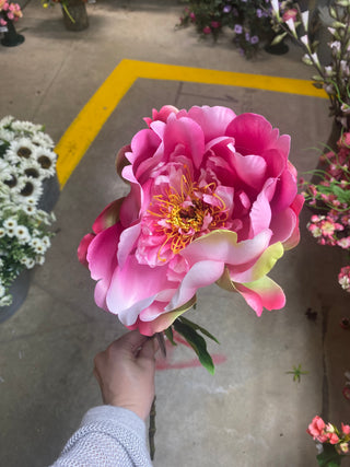 Peony Spray 23.25" CE/PK