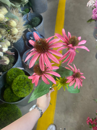 Echinacea Spray Pink 29"