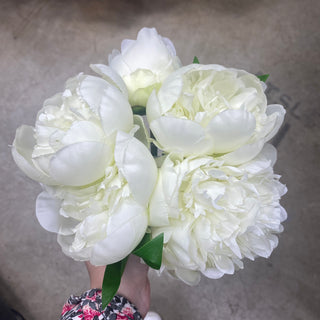 10" Peony Bundle CW