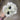 Allstate Anemone Bundle x6 White 12" - Uncategorized Silk