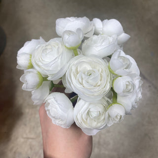 Mini Ranunculus Bundle White 10"