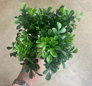Select UV Boxwood Bush 10" - Artificial Non-Flowering Plants Silk
