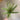 Select UV Narrow Fern 19" - Artificial Non-Flowering Plants Silk