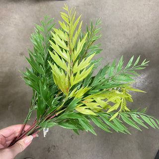 18.5" Saw Fern Bush